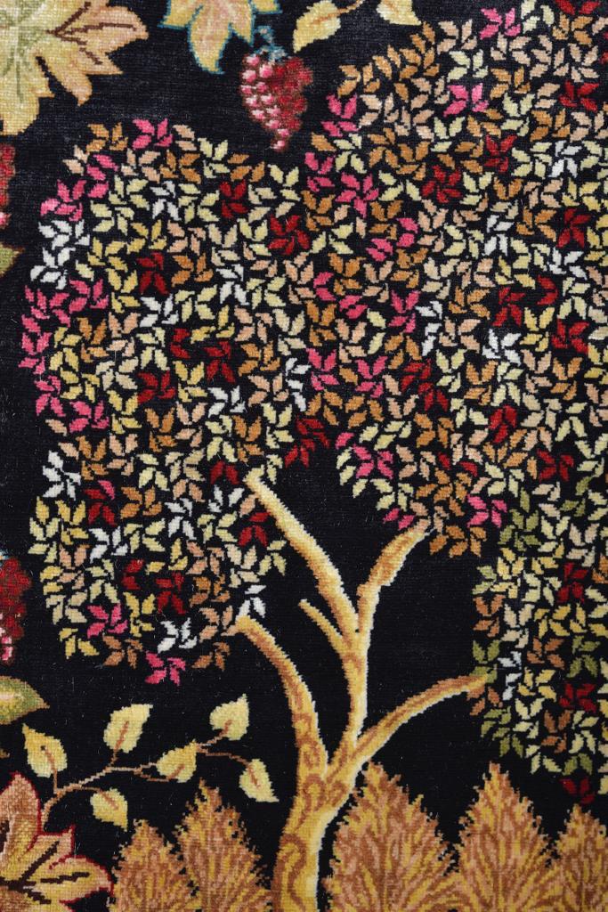 Tree and foliage detail
